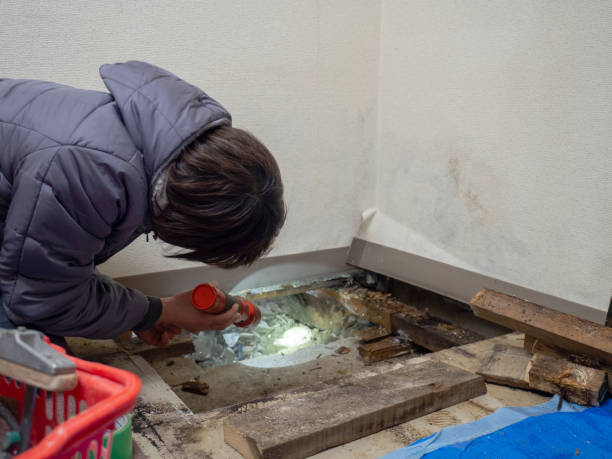 Best Air Quality Testing for Mold Spores  in Beresford, SD