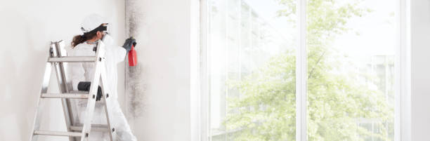 Best Mold Prevention Services  in Beresford, SD