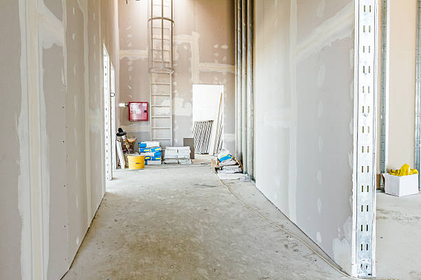 Best Real Estate Mold Inspection  in Beresford, SD