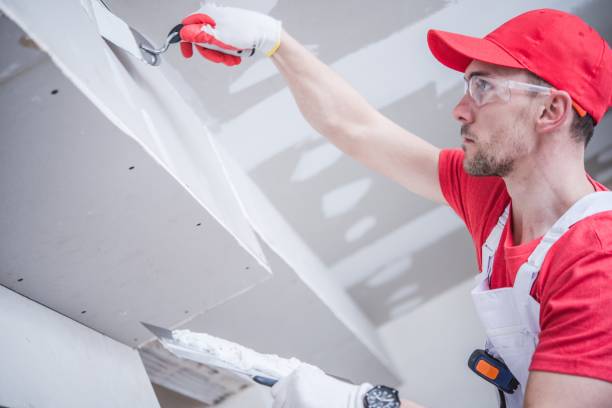 Best Basement Mold Removal  in Beresford, SD