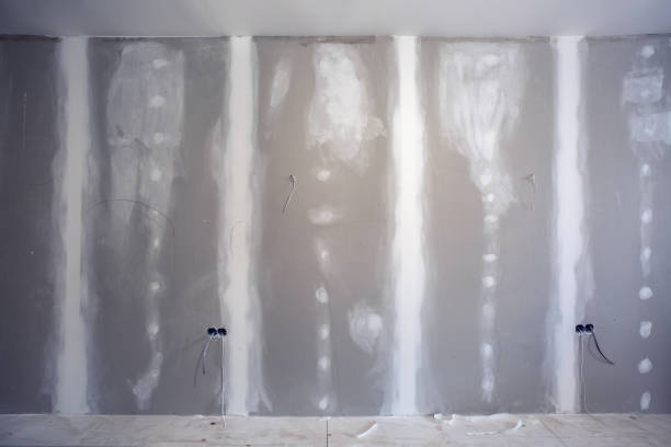 Best Attic Mold Removal  in Beresford, SD